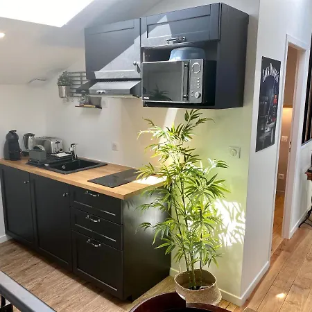 Le Bistrot - Au Coeur D'agen - Self Checkin - Wifi - Netflix - Smart Tv - Luqs Fr דירה *